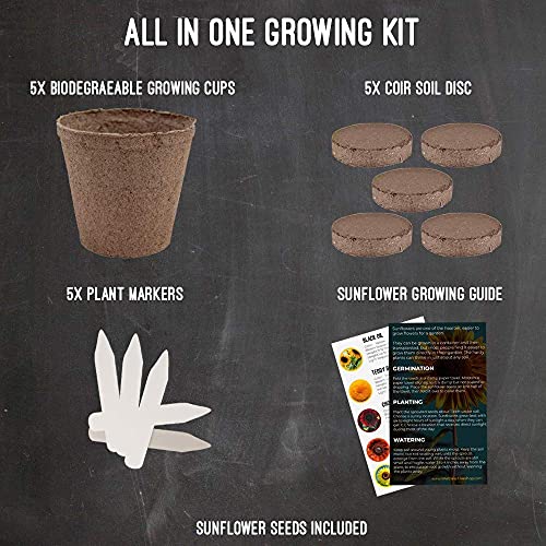 Sunflower Grow Kit - Grow 5 Different Sunflowers 22 Piece - Start Your Own Flower Garden - A Complete Gardeners Gift - Beginner Starter Kit - Non GMO Seed Variety Pack - Indoor & Outdoor Use