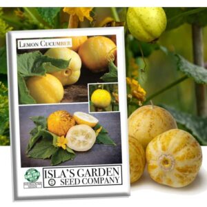 lemon cucumber seeds for planting,125+ heirloom seeds per packet, (isla’s garden seeds), non gmo seeds, botanical name: cucumis sativus ‘lemon’, great gift for home garden