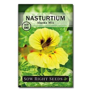 Sow Right Seeds - Alaska Nasturtium Seeds to Plant - Full Instructions for Planting and Growing a Beautiful Flower Garden; Non-GMO Heirloom Seeds; Wonderful Gardening Gift (1)