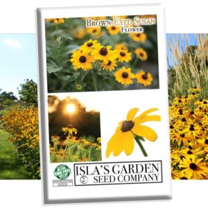 brown-eyed susan flower seeds for planting, 3000+ seeds per packet, (isla’s garden seeds), non gmo & heirloom seeds, scientific name: rudbeckia triloba, great home flower garden gift