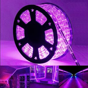 50ft 360 led rope lights outdoor, connectable and flexible tube lights with 8 modes, waterproof indoor outdoor led rope lighting for deck, garden, pool, patio, wedding, xmas decorations (purple)