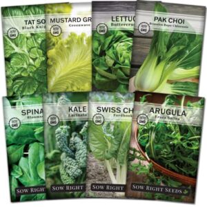 sow right seeds – large greens seed collection for planting – spinach, arugula, kale, lettuce, tat soi, pak choi, mustard greens and swiss chard – non-gmo heirloom seeds to plant & grow a home garden