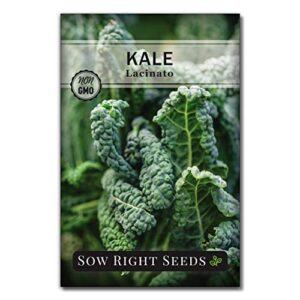 Sow Right Seeds - Large Greens Seed Collection for Planting - Spinach, Arugula, Kale, Lettuce, Tat SOI, Pak Choi, Mustard Greens and Swiss Chard - Non-GMO Heirloom Seeds to Plant & Grow a Home Garden