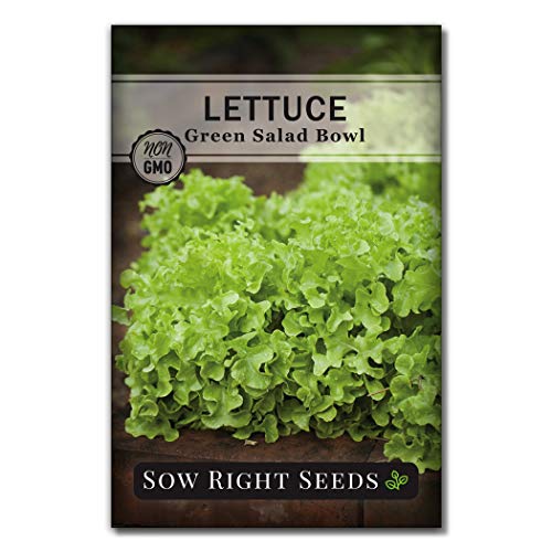 Sow Right Seeds - Large Greens Seed Collection for Planting - Spinach, Arugula, Kale, Lettuce, Tat SOI, Pak Choi, Mustard Greens and Swiss Chard - Non-GMO Heirloom Seeds to Plant & Grow a Home Garden