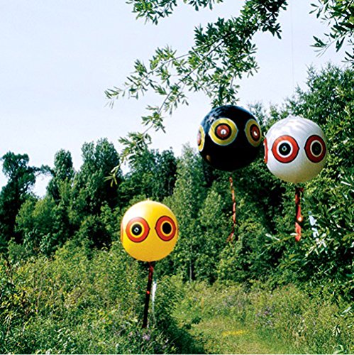 Bird-X Scare-Eye® Bird Repellent Predator Eyes Balloons, Pack of 3