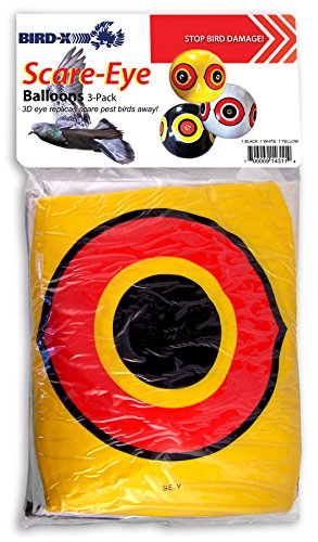 Bird-X Scare-Eye® Bird Repellent Predator Eyes Balloons, Pack of 3