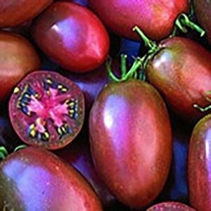 pepper joe’s ukrainian purple tomato seeds ­­­­­– pack of 20+ rare sweet tomato seeds – usa grown ­– premium non-gmo ukrainian purple seeds for planting in your garden
