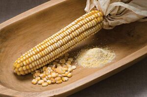 david’s garden seeds corn dent nothstine fba-9335 (yellow) 100 non-gmo, heirloom seeds