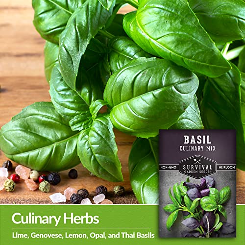 Survival Garden Seeds - Culinary Basil Mix - Packet with Instructions to Plant and Grow Genovese, Lemon, Lime, Opal & Thai Basil Herbs Your Home Vegetable Garden - Non-GMO Heirloom Varieties