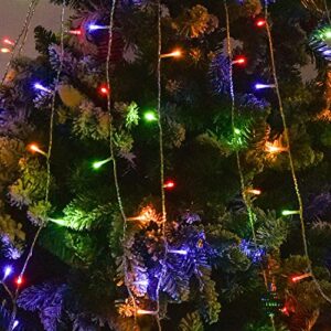 66FT 200 LED Indoor/Outdoor Fairy String Lights Plug in, Waterproof Christmas Lights with 8 Lighting Modes for Bedroom, Wedding, Party, Garden, Christmas Tree Decoration