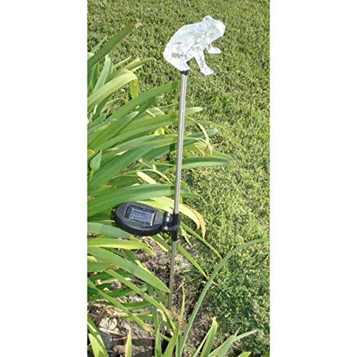 Unido Box Frog Solar Garden Stake Light LED Color-Changing, Set of 2