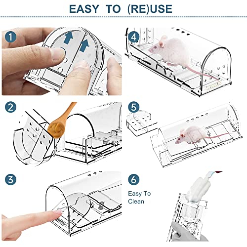 Humane Mouse Traps, Catch & Release, Reusable Rat Traps, Easy to Set and Safe for Family and Pets, No Kill for Small Rodent/Hamsters/Moles, Catcher That Works for Indoor/Outdoor, 3 Pack, Transparent