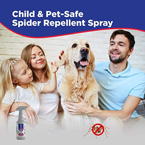 GERMOFIN - Natural Spider Repellent Peppermint Oil Spray - Spider Pest Control - Keeps Indoor & Outdoor Spiders Away- Safe for Pets & Family- House Essentials