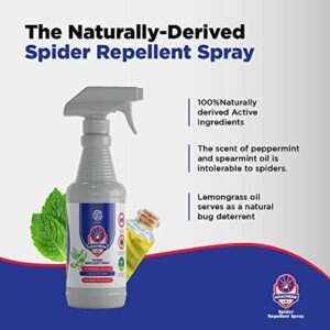 GERMOFIN - Natural Spider Repellent Peppermint Oil Spray - Spider Pest Control - Keeps Indoor & Outdoor Spiders Away- Safe for Pets & Family- House Essentials