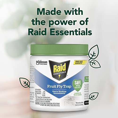 Raid Essentials Fruit Fly Trap for Indoors, Made with Essential Oils, Child and Pet Safe, 5.4 oz