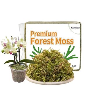 kapecute 6oz natural forest moss for potted plants, good orchid potting mix, perfect for reptile terrarium bedding, indoor and outdoor garden decor