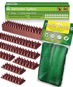de-bird bundle includes: defender spikes 12 pk & heavy duty trellis netting – keep away pigeon, woodpecker & cats from your garden and crops