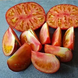 CHUXAY GARDEN Lucid Gem Tomato Seed 10 Seeds Blood Fruit Small Shrub Edible Cook Fruit Great Vegetable Gardening Gifts