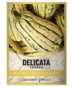 delicata squash seeds for planting – winter squash heirloom, non-gmo vegetable squash variety- 3 grams seeds great for summer garden by gardeners basics