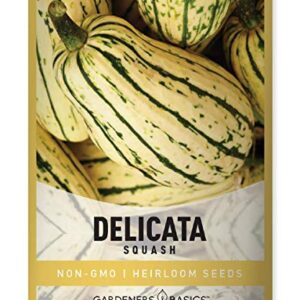 Delicata Squash Seeds for Planting - Winter Squash Heirloom, Non-GMO Vegetable Squash Variety- 3 Grams Seeds Great for Summer Garden by Gardeners Basics