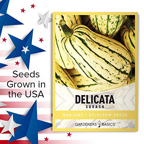 Delicata Squash Seeds for Planting - Winter Squash Heirloom, Non-GMO Vegetable Squash Variety- 3 Grams Seeds Great for Summer Garden by Gardeners Basics