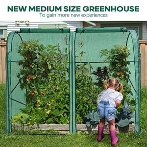 KING BIRD Upgraded 73" x 37" x 59" Mini Greenhouse, Heavy Duty Powder-Coated Steel Frame, 2 Zippered Screen Doors 4 Screen Windows, Tall Garden Plant Hot Green House, 8 Stakes 4 Ropes, Green