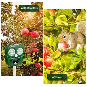 Repelpro Solar Powered Ultrasonic Animal & Bird Repeller, Green