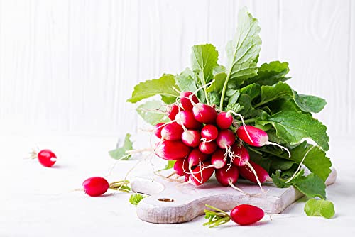 French Breakfast Radish Seeds for Planting, 200+ Heirloom Seeds Per Packet, (Isla's Garden Seeds), Non GMO Seeds, Botanical Name: Raphanus sativus, Great Home Garden Gift