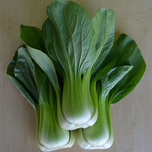 Cabbage Seeds - Pak Choi - Chun Mei - Hybrid - 2 g Packet ~700 Seeds - Non-GMO, F1 Hybrid - Asian Garden Vegetable