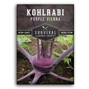 survival garden seeds – purple vienna kohlrabi seed for planting – packet with instructions to plant and grow unique cruciferous vegetables in your home vegetable garden – non-gmo heirloom variety
