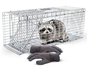 safetrap large cage trap for live animals + bite proof gloves – 32″ one-door humane live cage – heavy duty animal trap – ideal to catch & release raccoon, chipmunk, rabbit, groundhog, cat