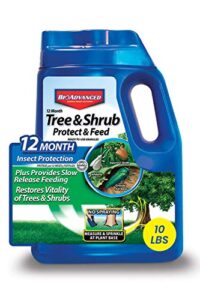 bioadvanced 12 month tree and shrub protect and feed, granules, 10 lb