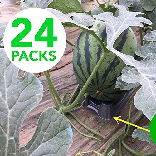 Plastic Melon Support Cradle for Watermelon-Pumpkin-Squash - Holds up to 20 lbs(24 PCS)