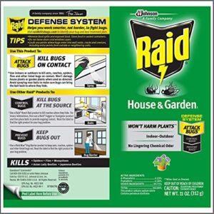 Raid House and Garden Aerosol 11 Ounce (Pack of 6)