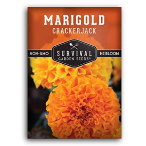 survival garden seeds – crackerjack marigold seed for planting – packet with instructions to plant and grow in your home vegetable garden – non-gmo heirloom variety
