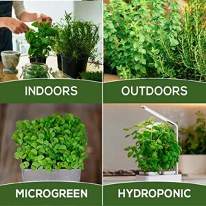 20 Most Needed Spice Seeds for Home Gardening - Kitchen & Culinary Herb Plant Seeds for Indoor, Outdoor, and Hydroponic Growing, Including Basil, Parsley, Rosemary, Mint & More