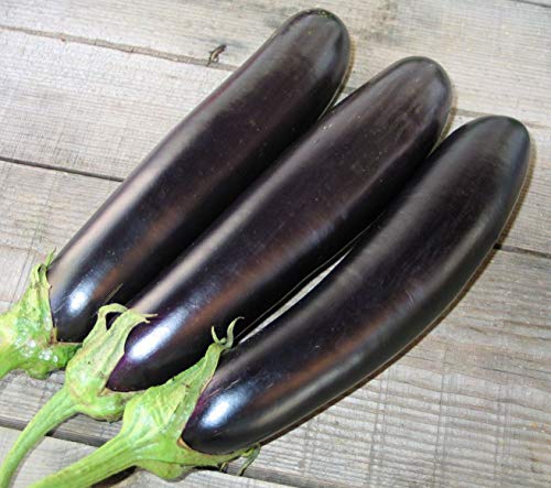 RAISE ME UP: Seeds Black Eggplant Long Pop Non GMO Heirloom