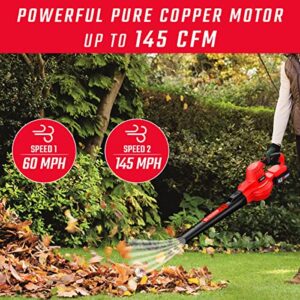 Cordless Leaf Blower, 20V Battery Powered Leaf Blower - VOLTKORE Electric Handheld Leaf Blower for Blowing Leaves, Dust, Snow in Patio, Garden.(Quick Charger & Battery Included) - 2023 Upgraded