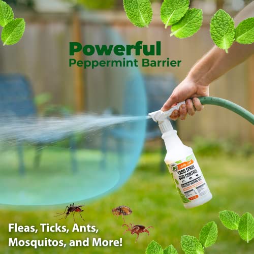 Mighty Mint 32oz Yard Spray Bug Control Natural Peppermint Lawn Spray for Fleas, Ticks, Mosquitos, Ants, and Other Insects