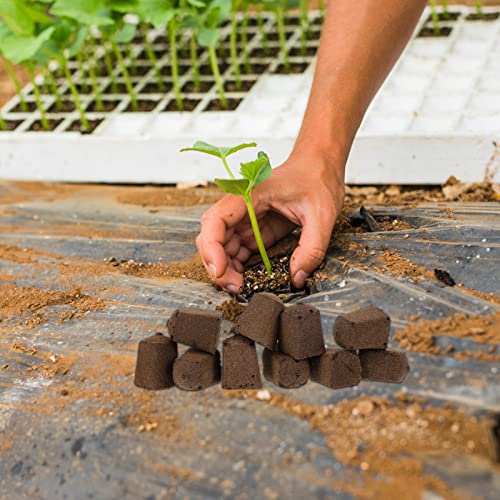 Happyyami 10Pcs Germination Soil Blocks Seedling Soil Block Nursery Soil for Indoors Potting Soil Indoor Plants Seeds Starting Plugs Peat Soil