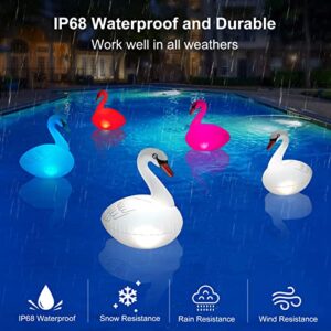 Goallim Swan Floating Pool Lights - Single, Waterproof Inflatable Solar Pool Lights, Outdoor LED Colorful Changing Swan Pool Light for Beach, Garden Backyard, Patio Lawn, Hot tub, Christmas Decoration