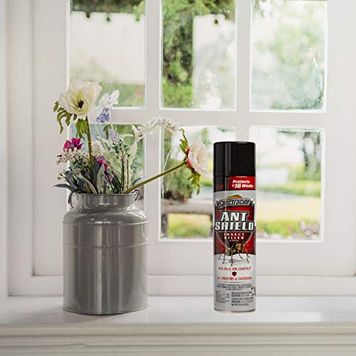 Spectracide Ant Shield Insect Killer Aerosol, 15-Ounce, Case Pack of 12