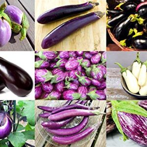 Please Read! This is A Mix!!! 30+ Eggplant Mix Seeds 11 Varieties Heirloom Non-GMO Aubergine, Asian, European, Italian, Profilic, Super Delicious, from USA