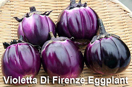 Please Read! This is A Mix!!! 30+ Eggplant Mix Seeds 11 Varieties Heirloom Non-GMO Aubergine, Asian, European, Italian, Profilic, Super Delicious, from USA