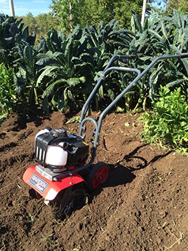 GardenTrax 4 Cycle Mini Cultivator