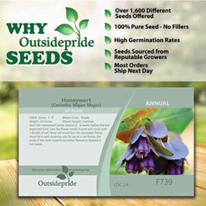 Outsidepride Cerinthe Major Honeywort Plant Garden Flower Seeds - 50 Seeds
