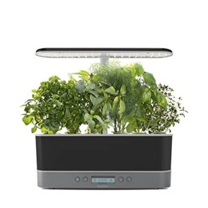 AeroGarden Harvest Elite Slim with Gourmet Herb Seed Pod Kit & Salad Greens Seed Pod Kit with Red and Green Leaf, Romaine and Butter Head Lettuce, Liquid Plant Food and Growing Guide (6-Pod)