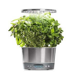 aerogarden harvest elite 360 with gourmet herb seed pod kit – hydroponic indoor garden, stainless steel