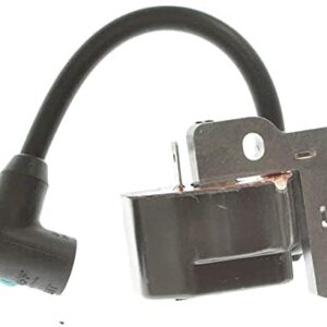 PARTSRUN Ignition Coil Module for Tecumseh 611056 611291 lawn and garden equipment engines,ZF-IG-A00907