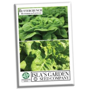 buttercrunch butterhead lettuce seeds for planting, 1000 heirloom seeds per packet, (isla’s garden seeds), non gmo seeds, botanical name: lactuca sativa, great home garden gift